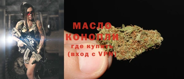 индика Зерноград