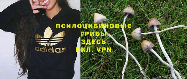 а пвп мука Зеленодольск