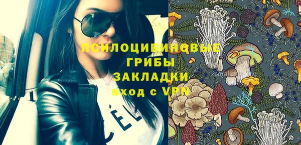 индика Зерноград