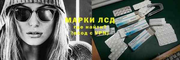 индика Зерноград