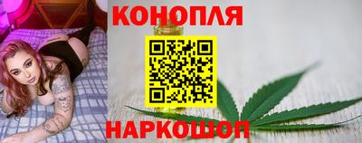 бошки Краснодар