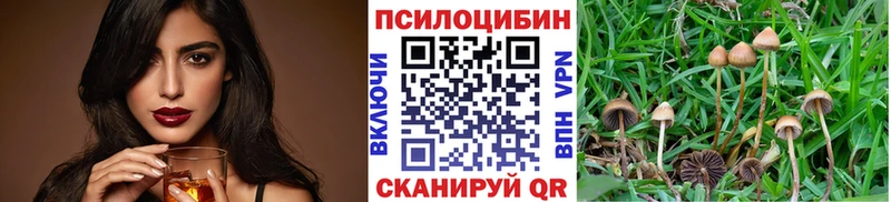 Псилоцибиновые грибы Magic Shrooms  Набережные Челны 
